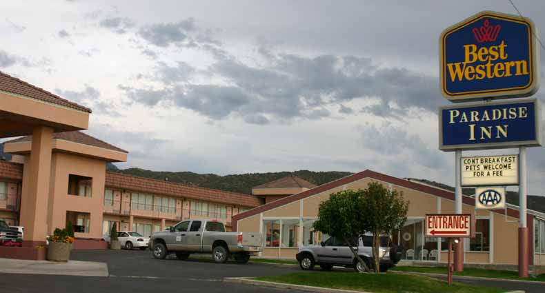 �p���_�C�X�C��