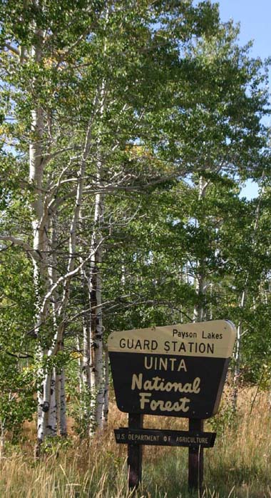 �A�X�y���ƃ��C���^���L��