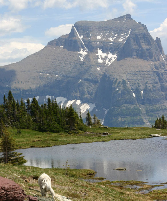 �}�E���e���S�[�g��GTTS�R