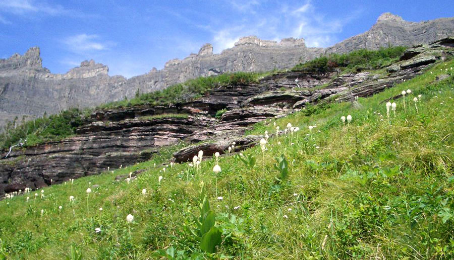 �x�A�[�O���X�̎Ζ�