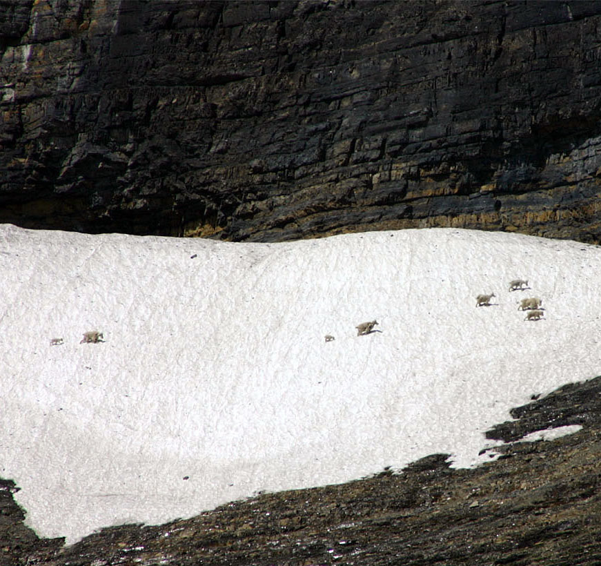 ��̎Ζʂ̃}�E���e���S�[�g