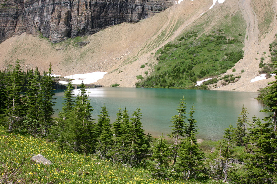 �����Ȓr�ƃO���C�V���[�����[