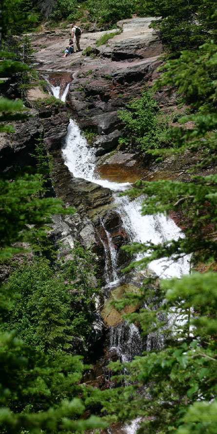 �^�[�~�K����