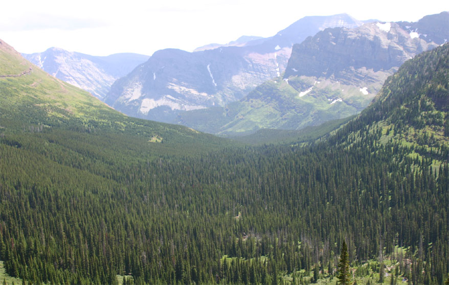 �E�C���o�[�J�̉���̉��]