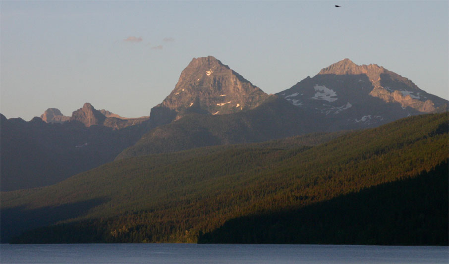 ���C�N�}�N�h�i���h�̗[�Ă�