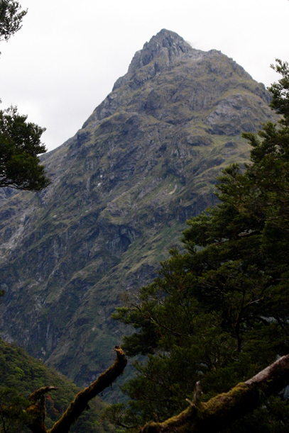 ルートバーントラックからのクリスティーナ山