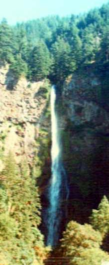 �}���g�m�}�[��