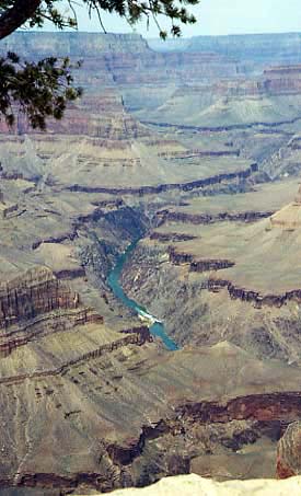 �E�F�X�g����