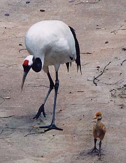 �^���`���E�Y��