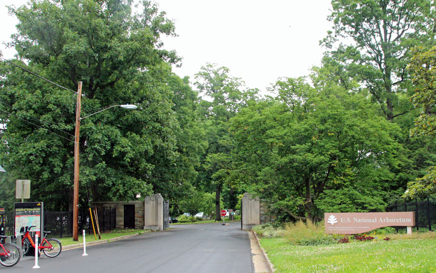 ���؉�R Street Gate����