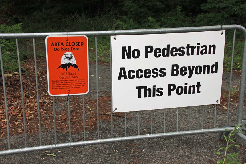 ���؉���������֎~