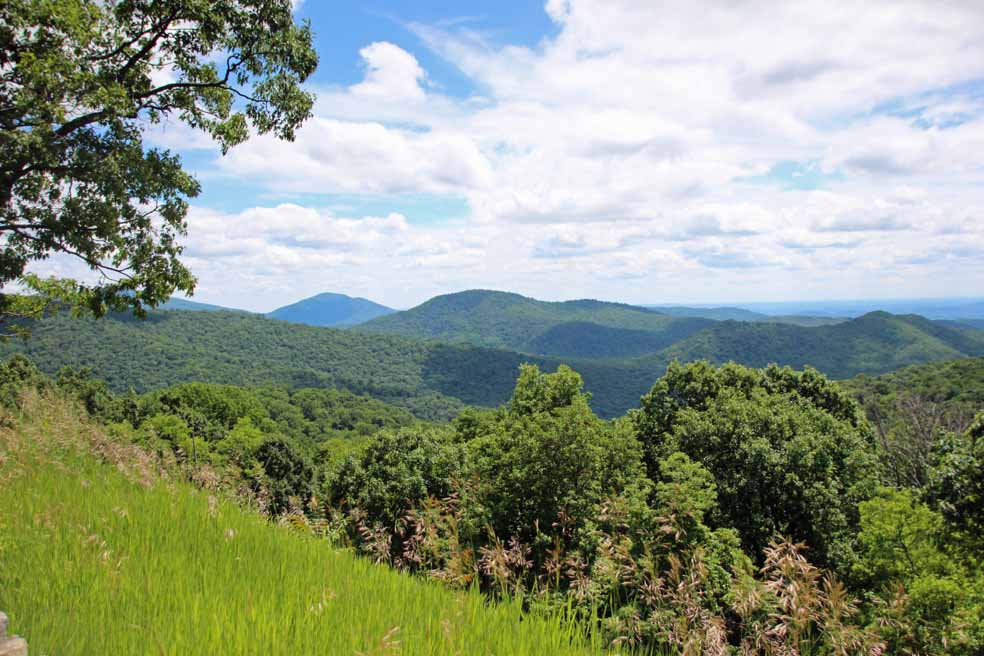 �V�F�i���h�[�����������i