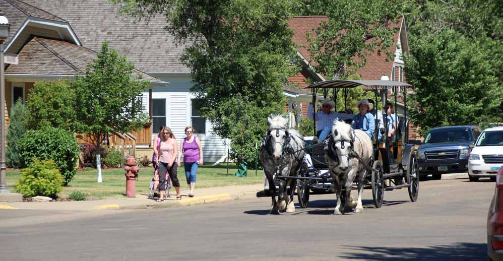 ���h���̊ό��n��