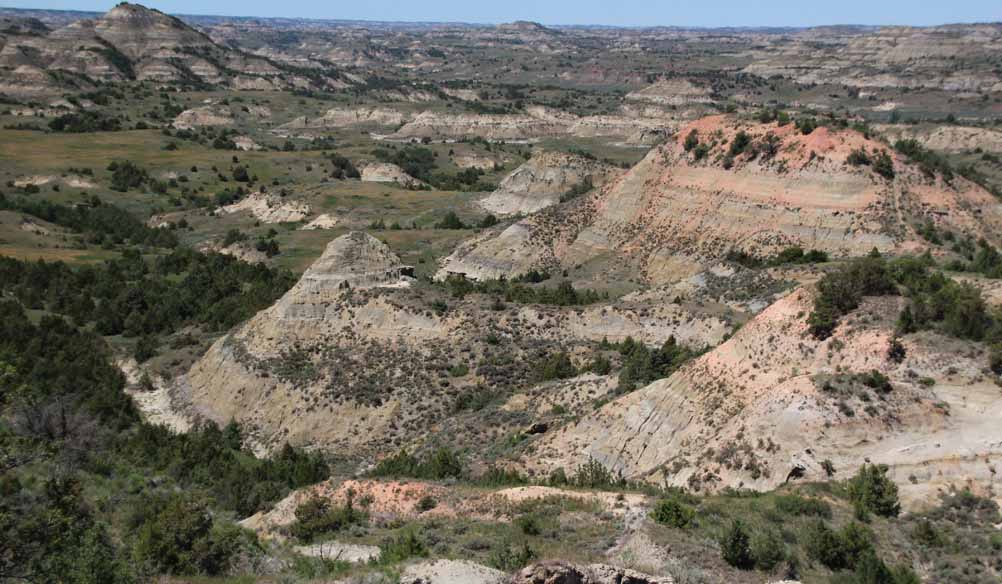 �y�C���e�b�h�L���j�I��