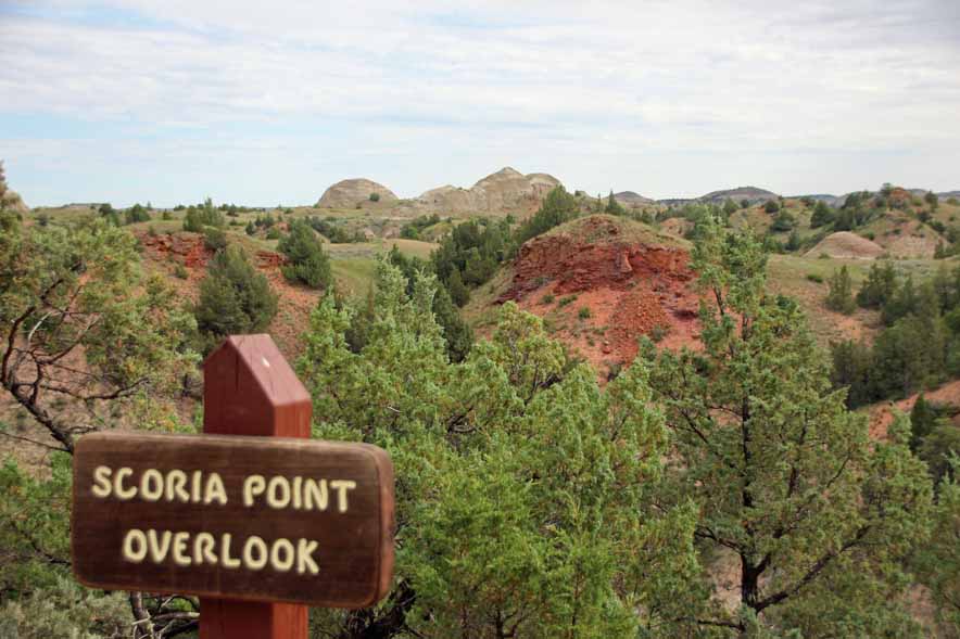 �X�R���A�|�C���g