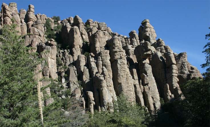 �{�j�[�^�L���j�I�����H����̊��