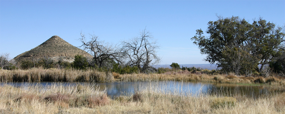 �}���U�j�[�^�X�v�����O