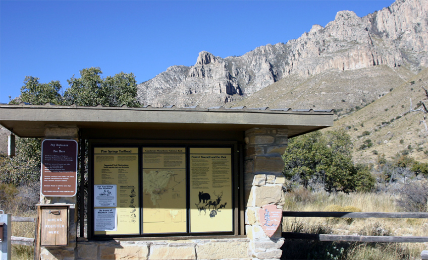 �g���C���w�b�h