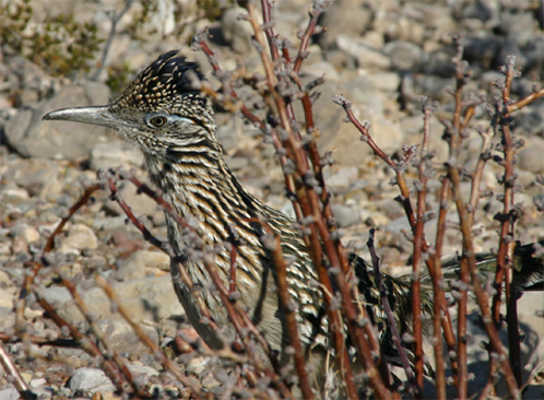 �~�`�o�V��