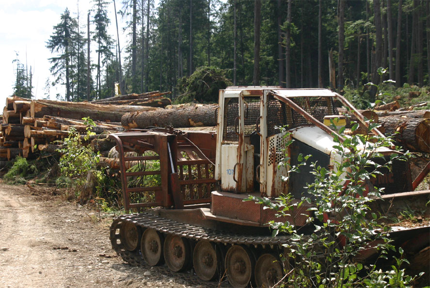 ���̌���