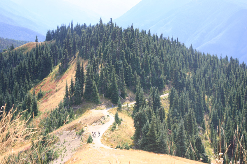 �g���C��