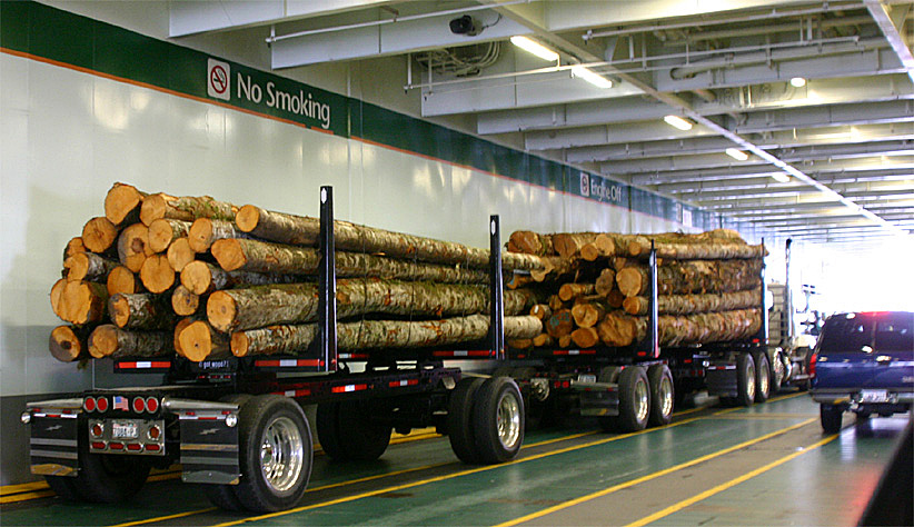 �؍މ^���g���C���[