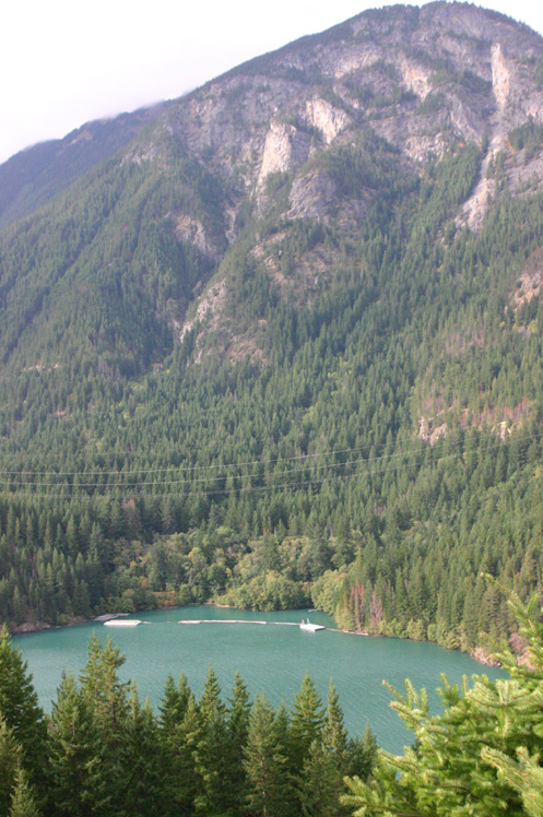 �f�B�A�u����