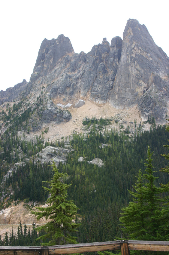 ���V���g��������̃��o�e�B�x��