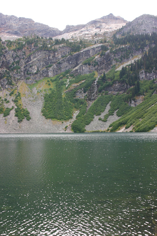 ���C�j�[��