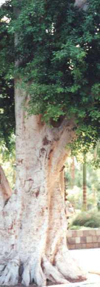 �K�W���}��