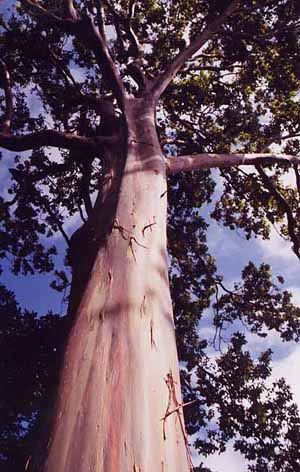 �J������