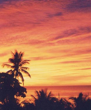 �t�F�����M�C��