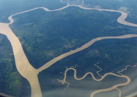 �T�����N�B