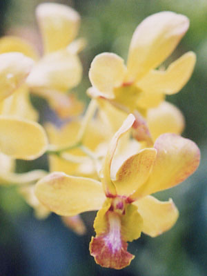 �f���h���r���[��