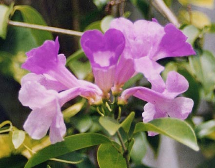 �j���j�N�J�Y��