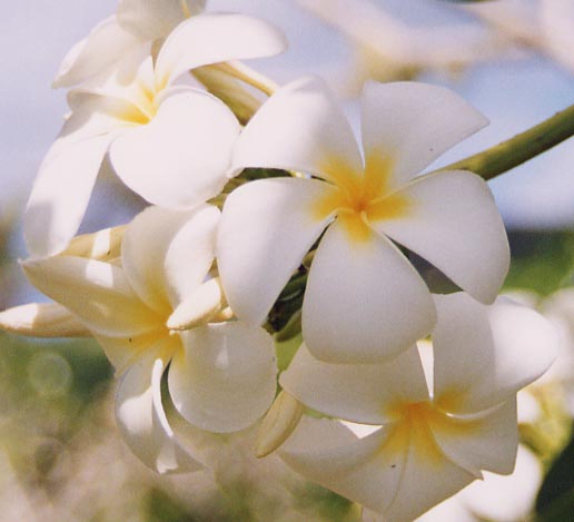 �v�������A