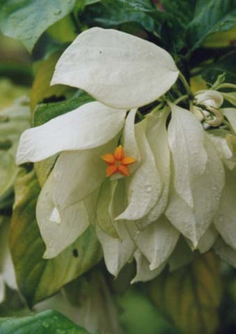 �R�������J