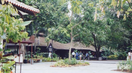 �V���K�|�[���A�����������O