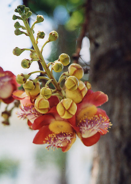 �z�E�K���{�N