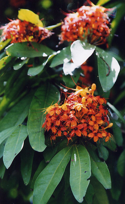 �����E�W��