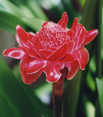 �g�[�`�W���W���[