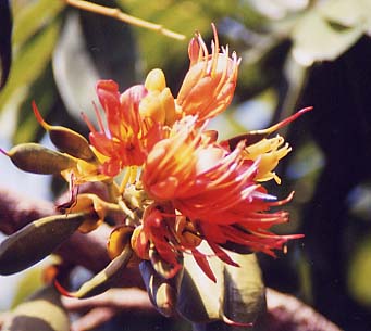 �����g�������O��