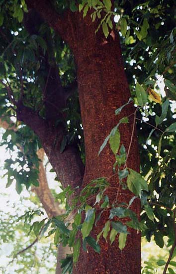 �����E�K��