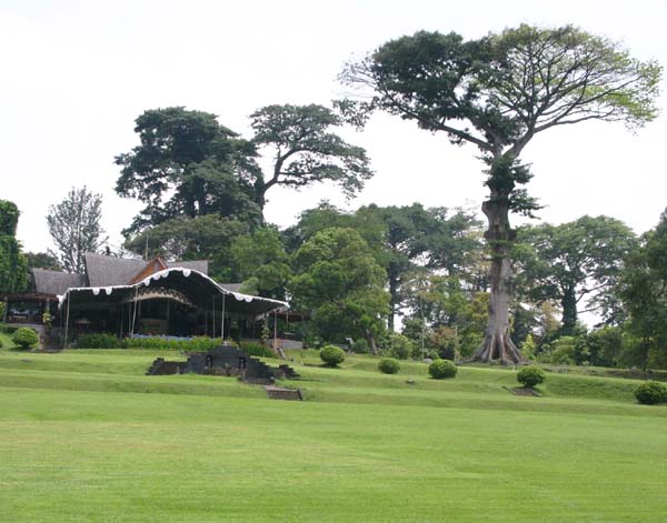 �{�S�[���A�����J�t�F�E�f�E�_�E�i��