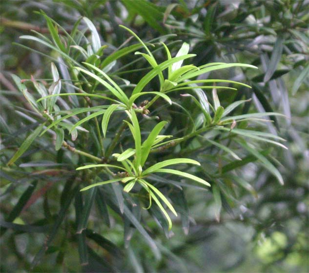 �E�~�x�}�L