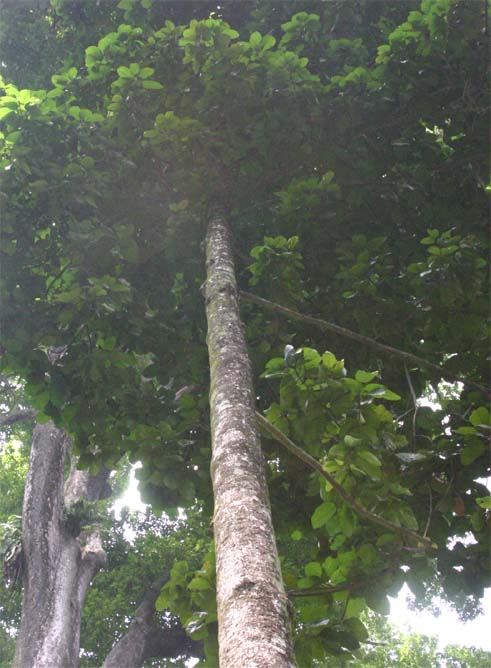 �I�I�~�t�^�o�K�L