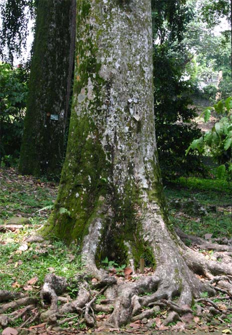 �I�I�~�t�^�o�K�L