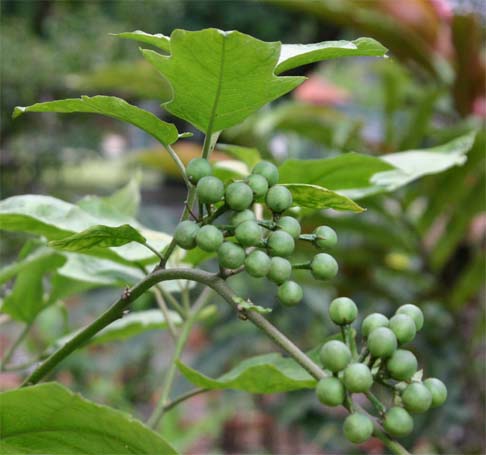 �X�Y���i�X�r