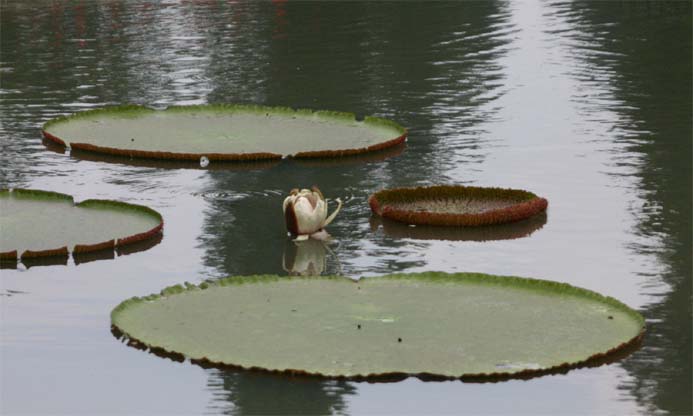 �I�I�I�j�o�X