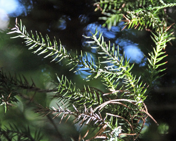 �r���N�V��